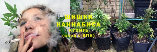 дурь Алзамай