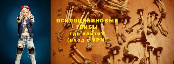 дурь Алзамай