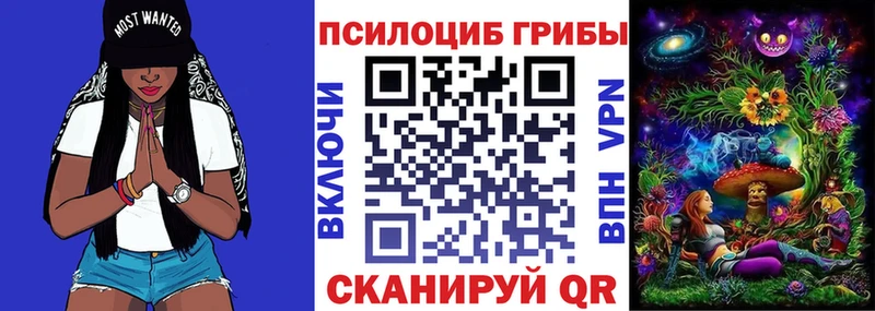 наркошоп  Щигры  Псилоцибиновые грибы MAGIC MUSHROOMS 